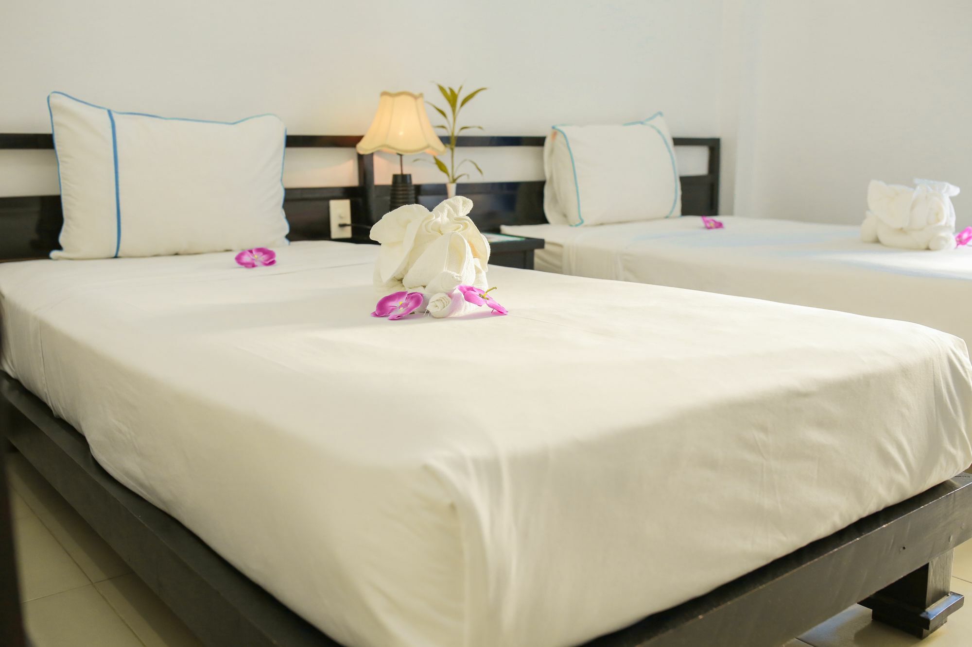 An Hoi Hotel Хоян Екстер'єр фото